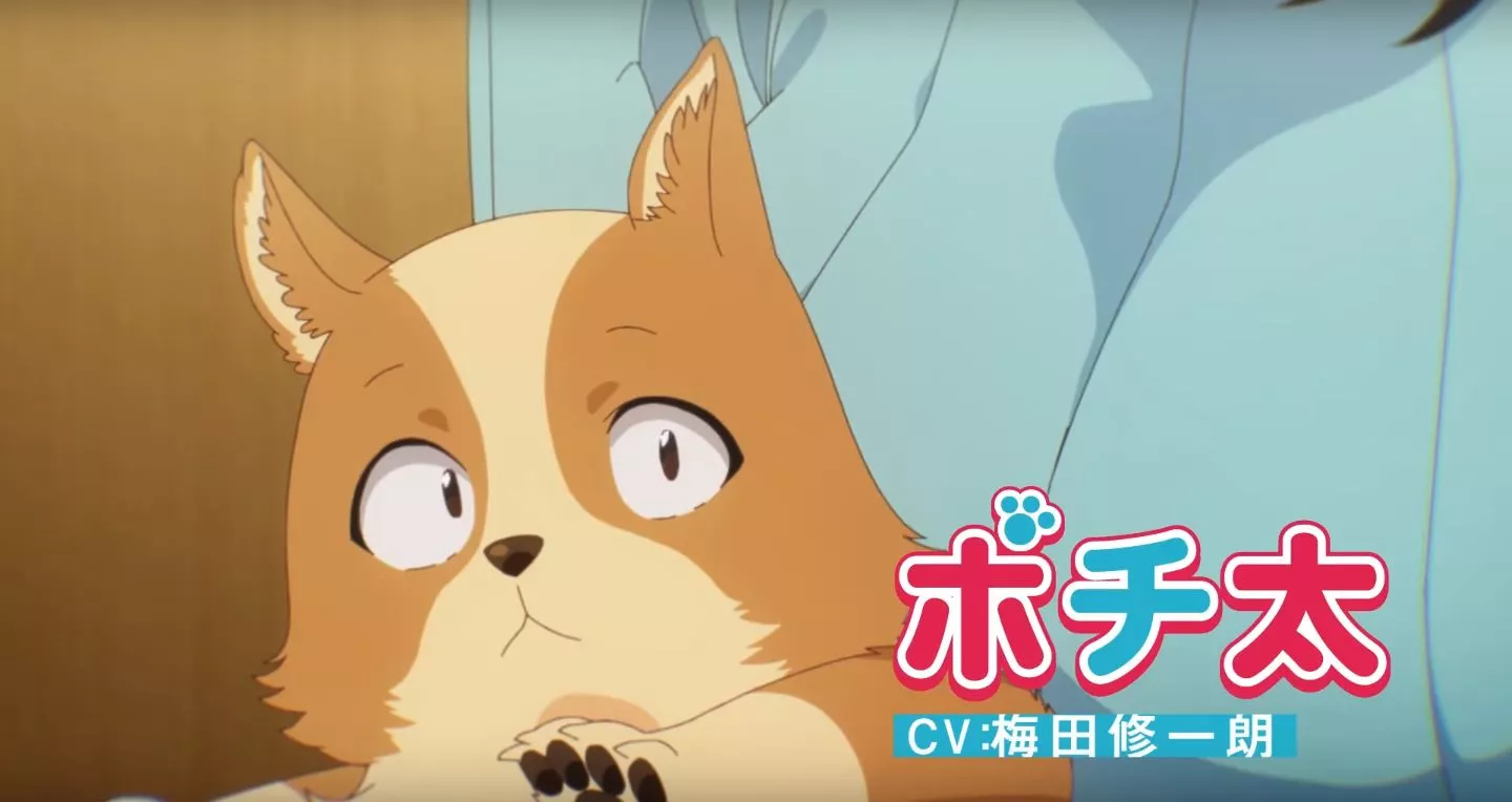 InuniNattaraSukinaHitoniHirowareta Trailer1 2022 6