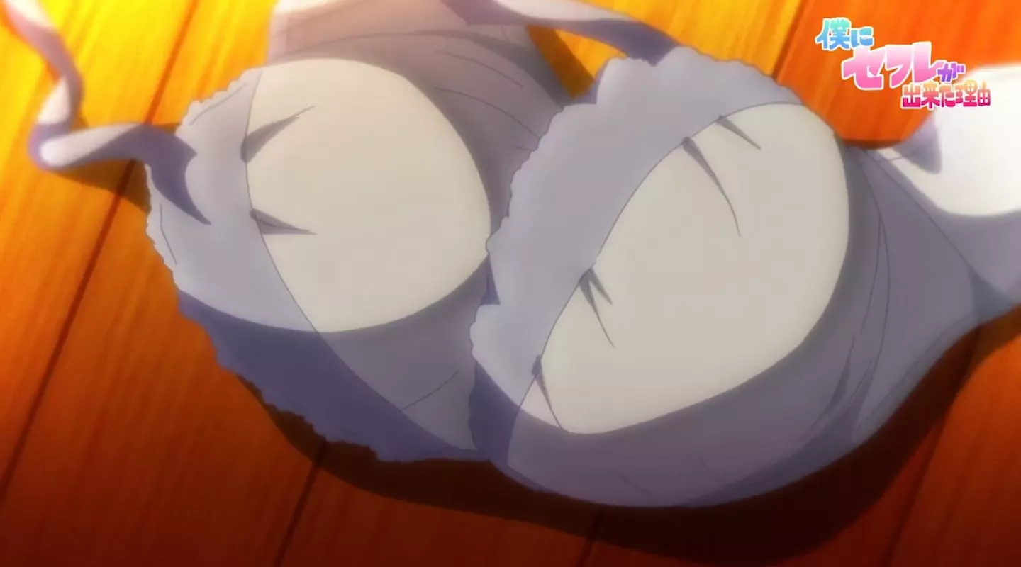 BokuniSefuregaDekitaRiyuu Episode1 PV 2022 11