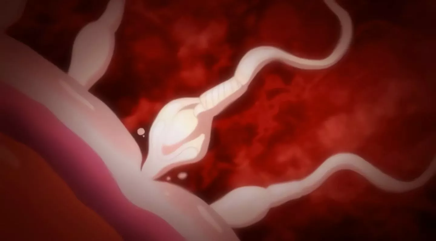 InkouKyoushinoSaiminSeikatsuShidouroku Episode1 76 InkouKyoushinoSaiminSeikatsuShidouroku Episode1 76