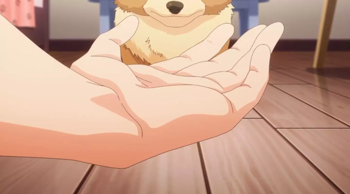 InuniNattaraSukinaHitoniHirowareta Episode1 69
