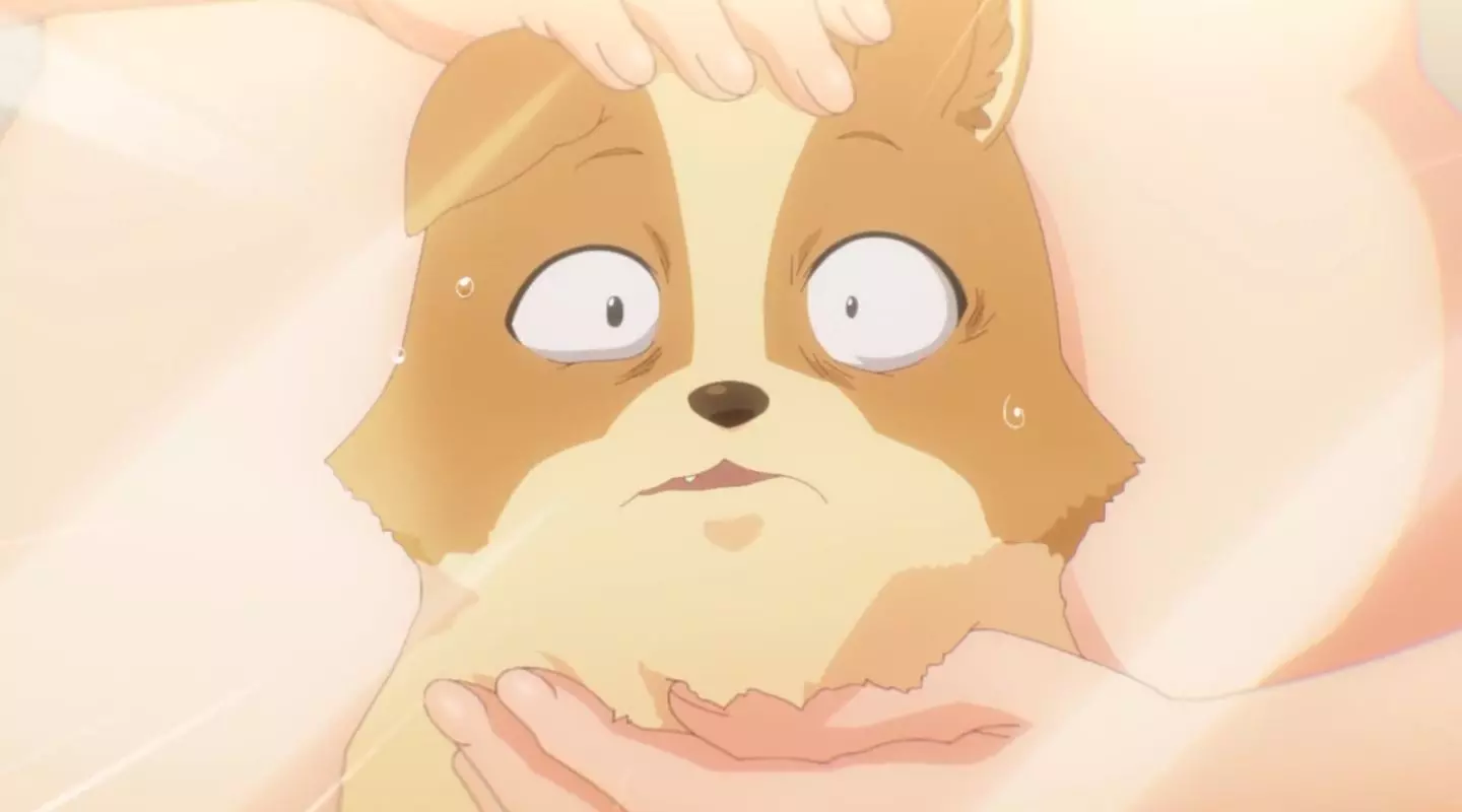 InuniNattaraSukinaHitoniHirowareta Episode1 39