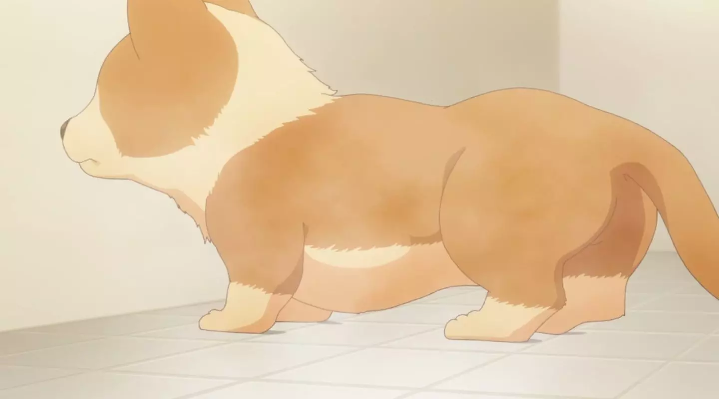 InuniNattaraSukinaHitoniHirowareta Episode1 47