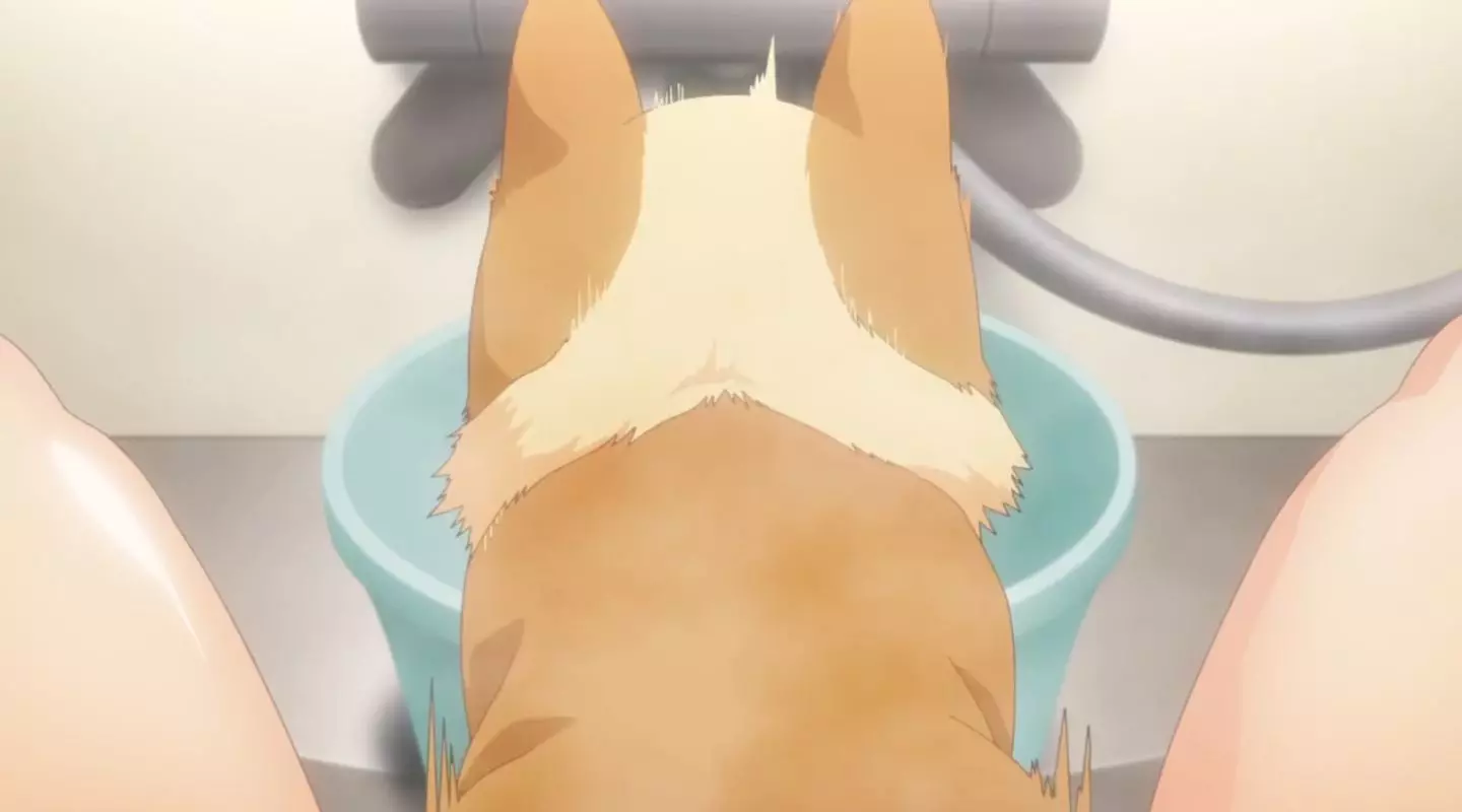 InuniNattaraSukinaHitoniHirowareta Episode1 45