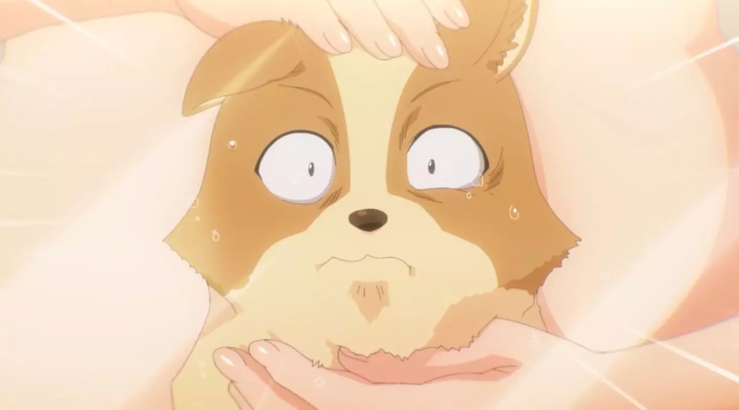 InuniNattaraSukinaHitoniHirowareta Episode1 Uncensored 2023 26